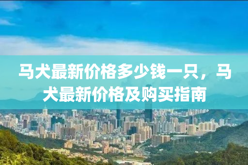 马犬最新价格多少钱一只，马犬最新价格及购买指南