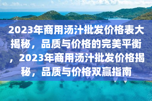 2023年商用汤汁批发价格表大揭秘，品质与价格的完美平衡，2023年商用汤汁批发价格揭秘，品质与价格双赢指南