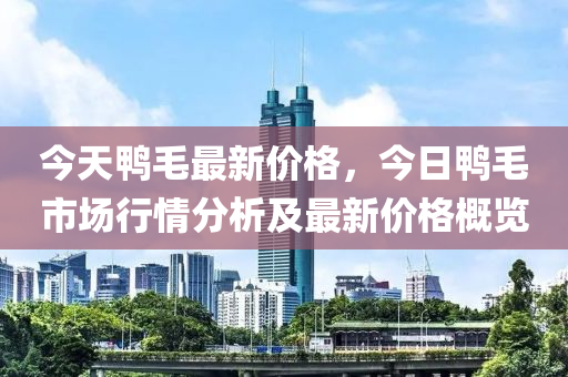 今天鸭毛最新价格，今日鸭毛市场行情分析及最新价格概览