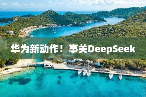 华为新动作！事关DeepSeek