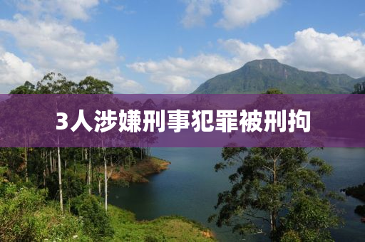 3人涉嫌刑事犯罪被刑拘