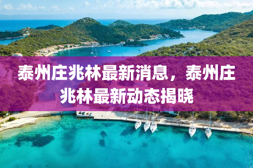 泰州庄兆林最新消息，泰州庄兆林最新动态揭晓