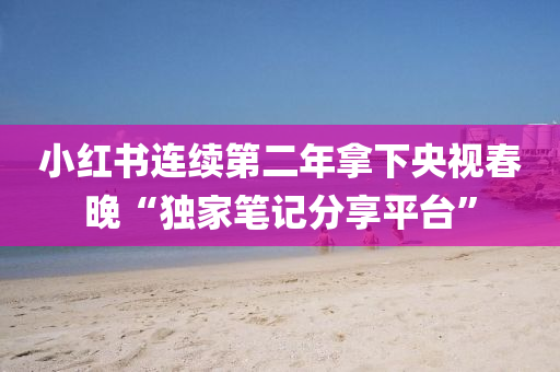 小红书连续第二年拿下央视春晚“独家笔记分享平台”