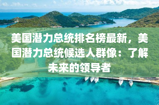 美国潜力总统排名榜最新，美国潜力总统候选人群像：了解未来的领导者