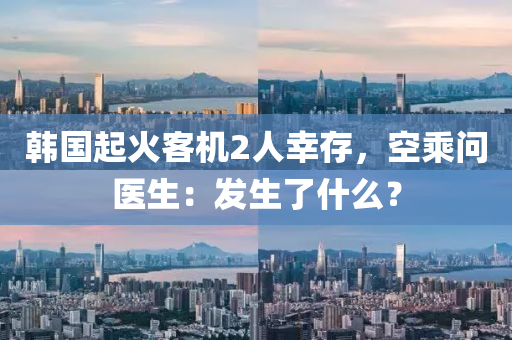 韩国起火客机2人幸存，空乘问医生：发生了什么？