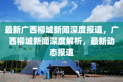 最新广西柳城新闻深度报道，广西柳城新闻深度解析，最新动态报道