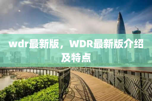 wdr最新版，WDR最新版介绍及特点
