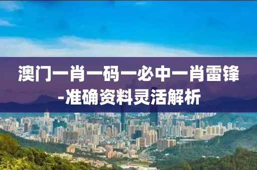 澳门一肖一码一必中一肖雷锋-准确资料灵活解析