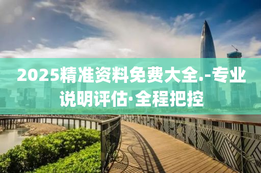 2025精准资料免费大全.-专业说明评估·全程把控