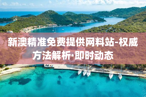 新澳精准免费提供网料站-权威方法解析·即时动态
