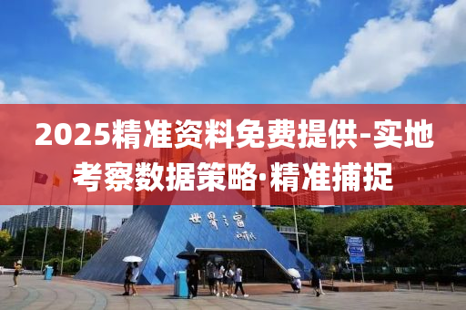 2025精准资料免费提供-实地考察数据策略·精准捕捉