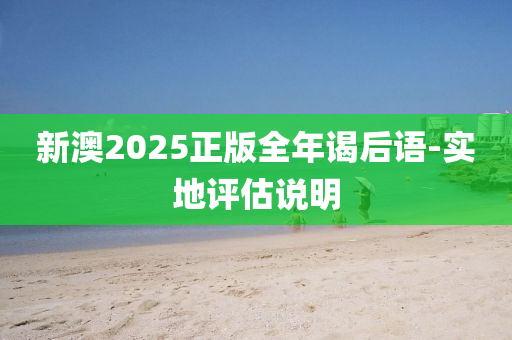 新澳2025正版全年谒后语-实地评估说明