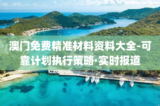 澳门免费精准材料资料大全-可靠计划执行策略·实时报道