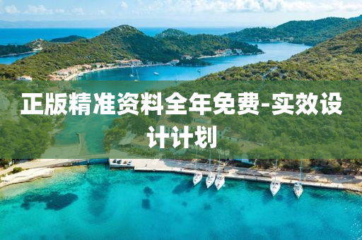 正版精准资料全年免费-实效设计计划