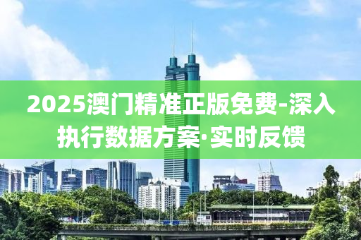 2025澳门精准正版免费-深入执行数据方案