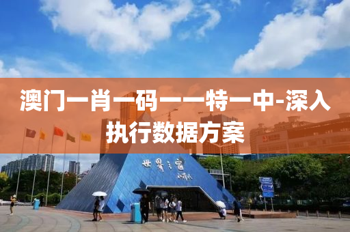 澳门一肖一码一一特一中-深入执行数据方案