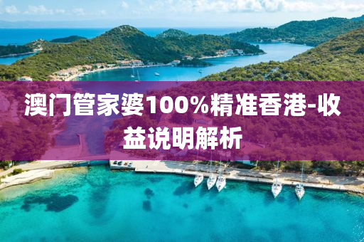 澳门管家婆100%精准香港-收益说明解析