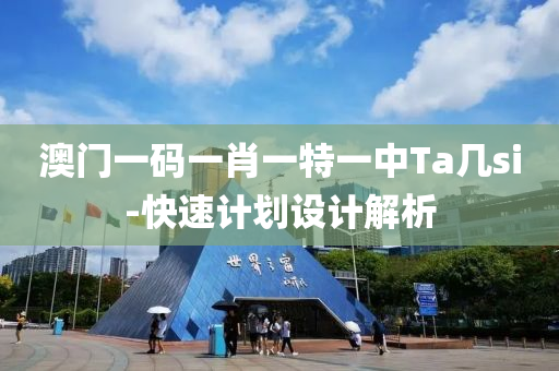 澳门一码一肖一特一中Ta几si-快速计划设计解析