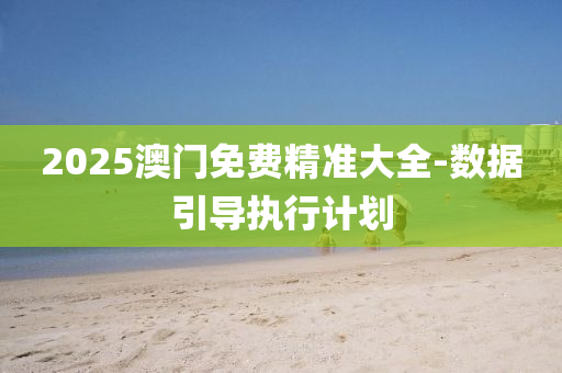 2025澳门免费精准大全-数据引导执行计划