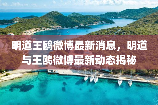 明道王鸥微博最新消息，明道与王鸥微博最新动态揭秘