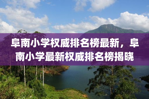 阜南小学权威排名榜最新，阜南小学最新权威排名榜揭晓