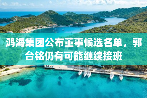 鸿海集团公布董事候选名单，郭台铭仍有可能继续接班