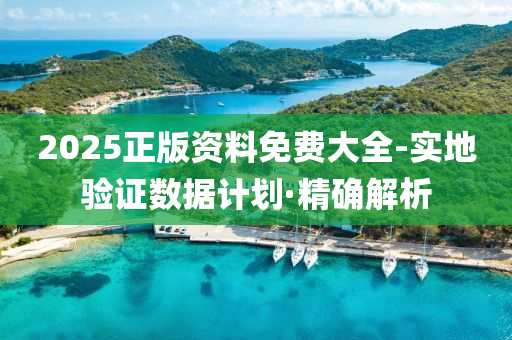2025正版资料免费大全-实地验证数据计划·精确解析