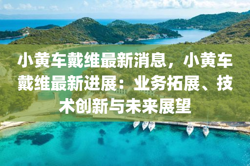 小黄车戴维最新消息，小黄车戴维最新进展：业务拓展、技术创新与未来展望