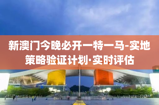 新澳门今晚必开一特一马-实地策略验证计划·实时评估