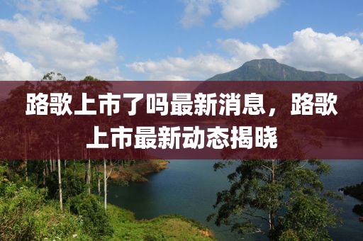 路歌上市了吗最新消息，路歌上市最新动态揭晓
