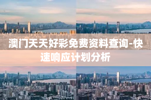 澳门天天好彩免费资料查询-快速响应计划分析