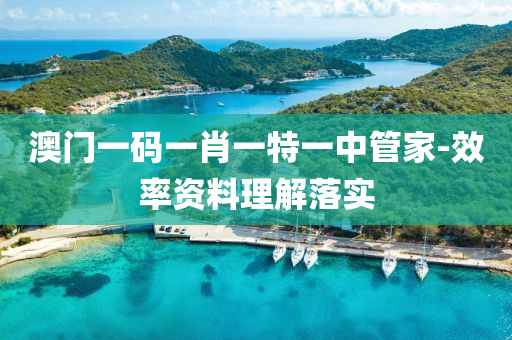 澳门一码一肖一特一中管家-效率资料理解落实