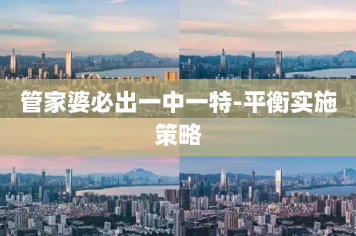 管家婆必出一中一特-平衡实施策略