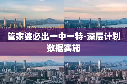 管家婆必出一中一特-深层计划数据实施