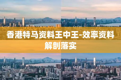 香港特马资料王中王-效率资料解剖落实