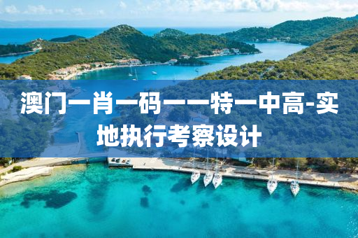 澳门一肖一码一一特一中高-实地执行考察设计