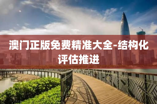 澳门正版免费精准大全-结构化评估推进