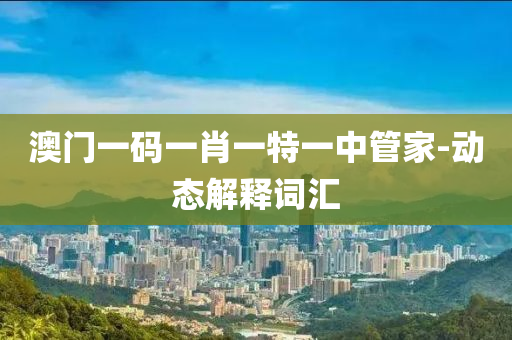 澳门一码一肖一特一中管家-动态解释词汇