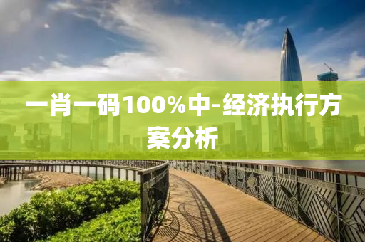 一肖一码100%中-经济执行方案分析