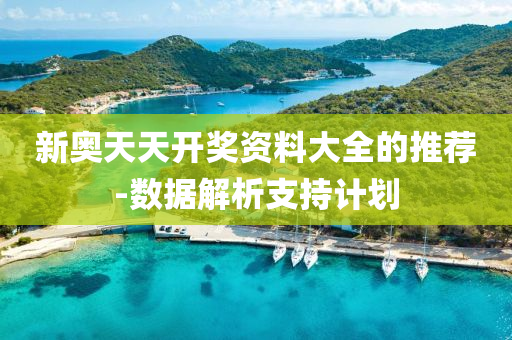 新奥天天开奖资料大全的推荐-数据解析支持计划