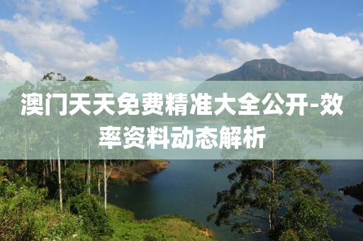 澳门天天免费精准大全公开-效率资料动态解析