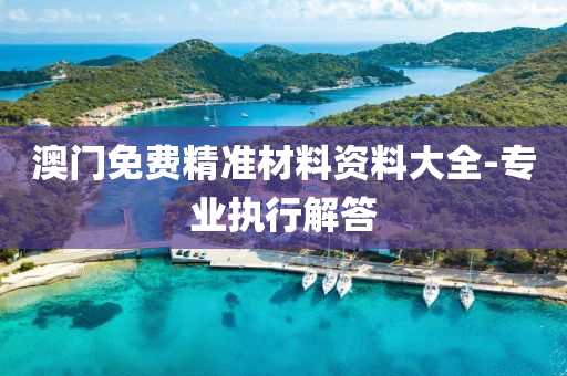 澳门免费精准材料资料大全-专业执行解答