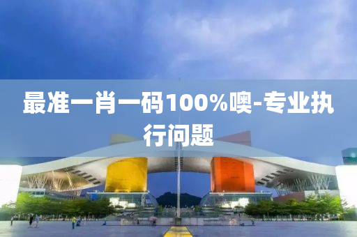 最准一肖一码100%噢-专业执行问题