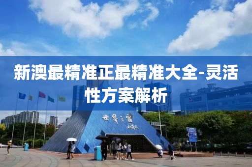 新澳最精准正最精准大全-灵活性方案解析