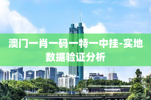 澳门一肖一码一特一中挂-实地数据验证分析