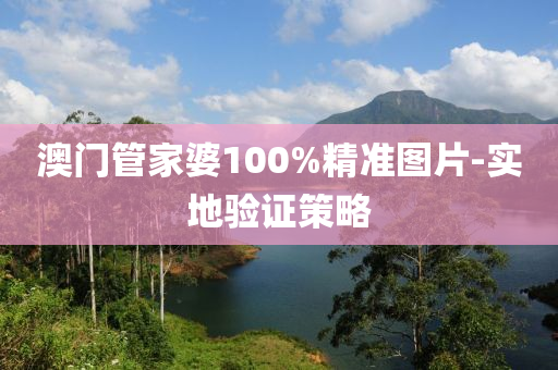 澳门管家婆100%精准图片-实地验证策略