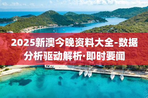 2025新澳今晚资料大全-数据分析驱动解析·即时要闻