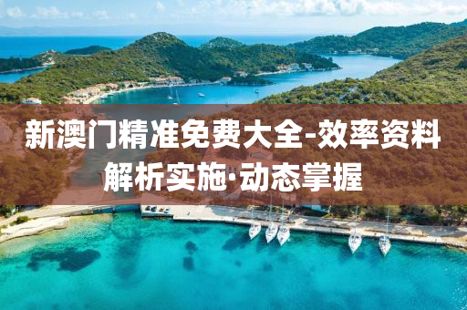 新澳门精准免费大全-效率资料解析实施·动态掌握