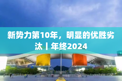 新势力第10年，明显的优胜劣汰丨年终2024
