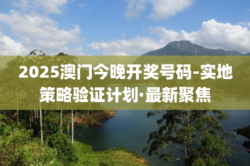 2025澳门今晚开奖号码-实地策略验证计划·最新聚焦